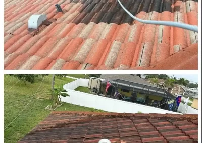 Painting Service and Pressure Washing