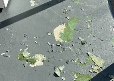 Pressure Washing and Home Painter